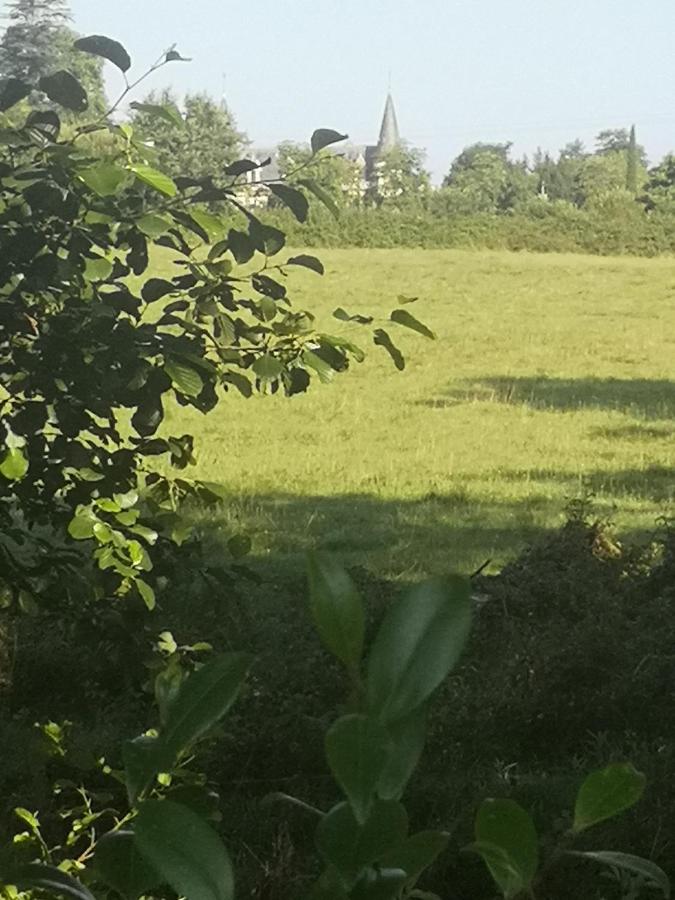 Cabane chic et romantique MUSCADELLE près de Bordeaux - B&B Saint-Sulpice