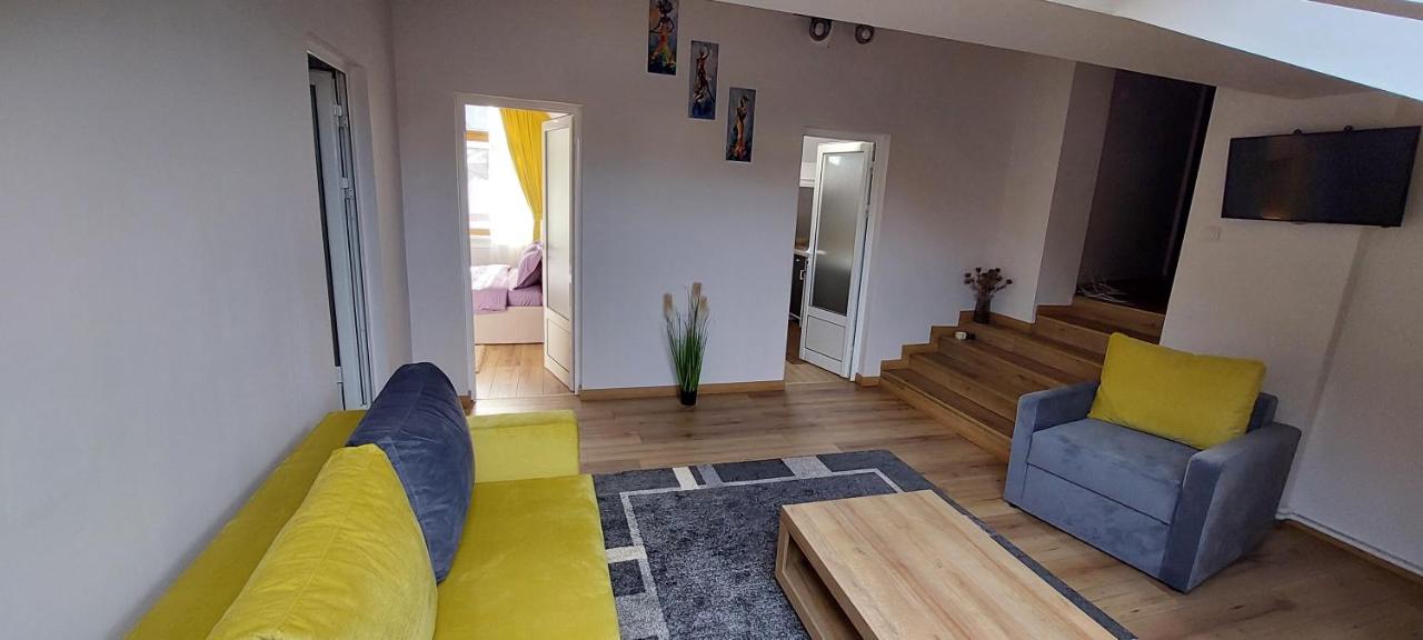 Central Palace Iași Apart - Ferienwohnung Iaşi