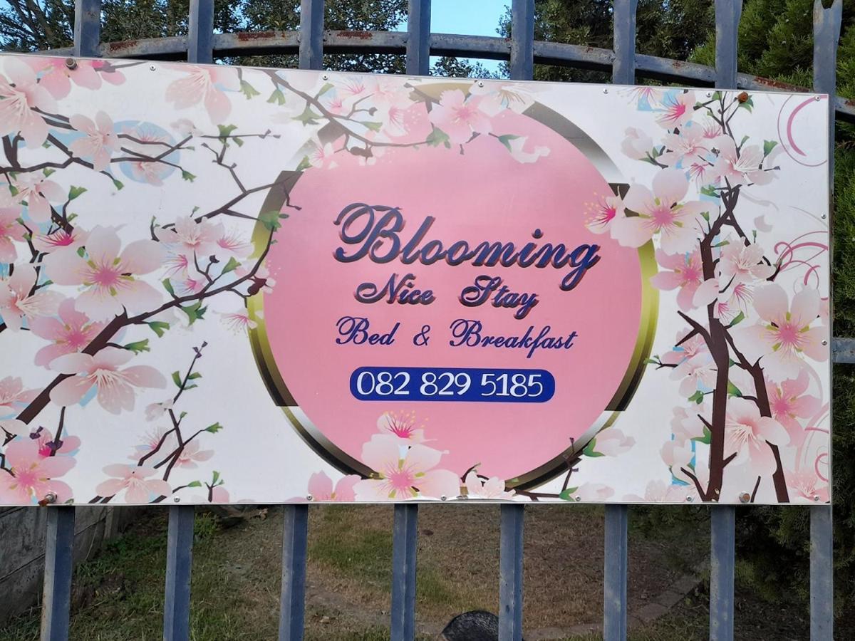 B&B Harrismith - Blooming Nice Stay - Bed and Breakfast Harrismith