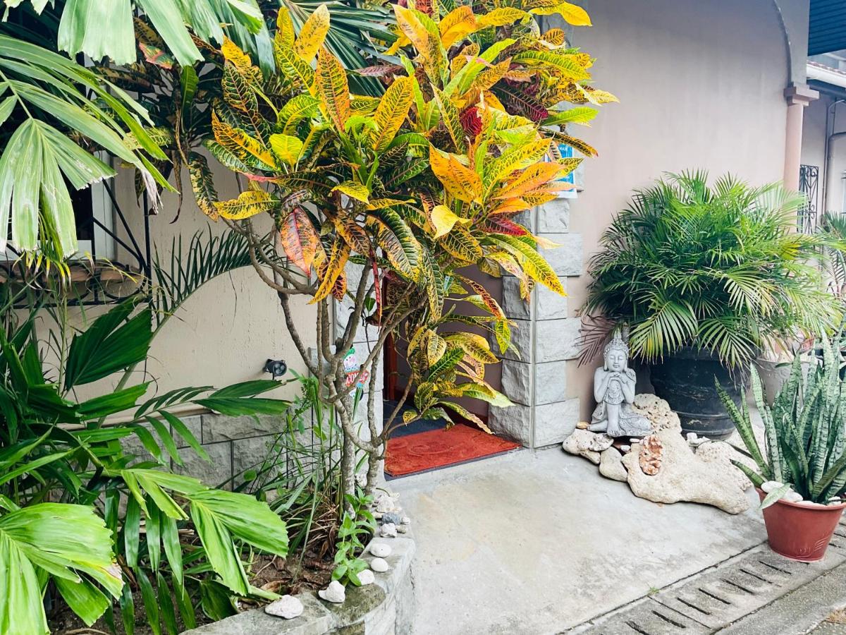 Effie Mountain View Gecko Villa - B&B Victoria