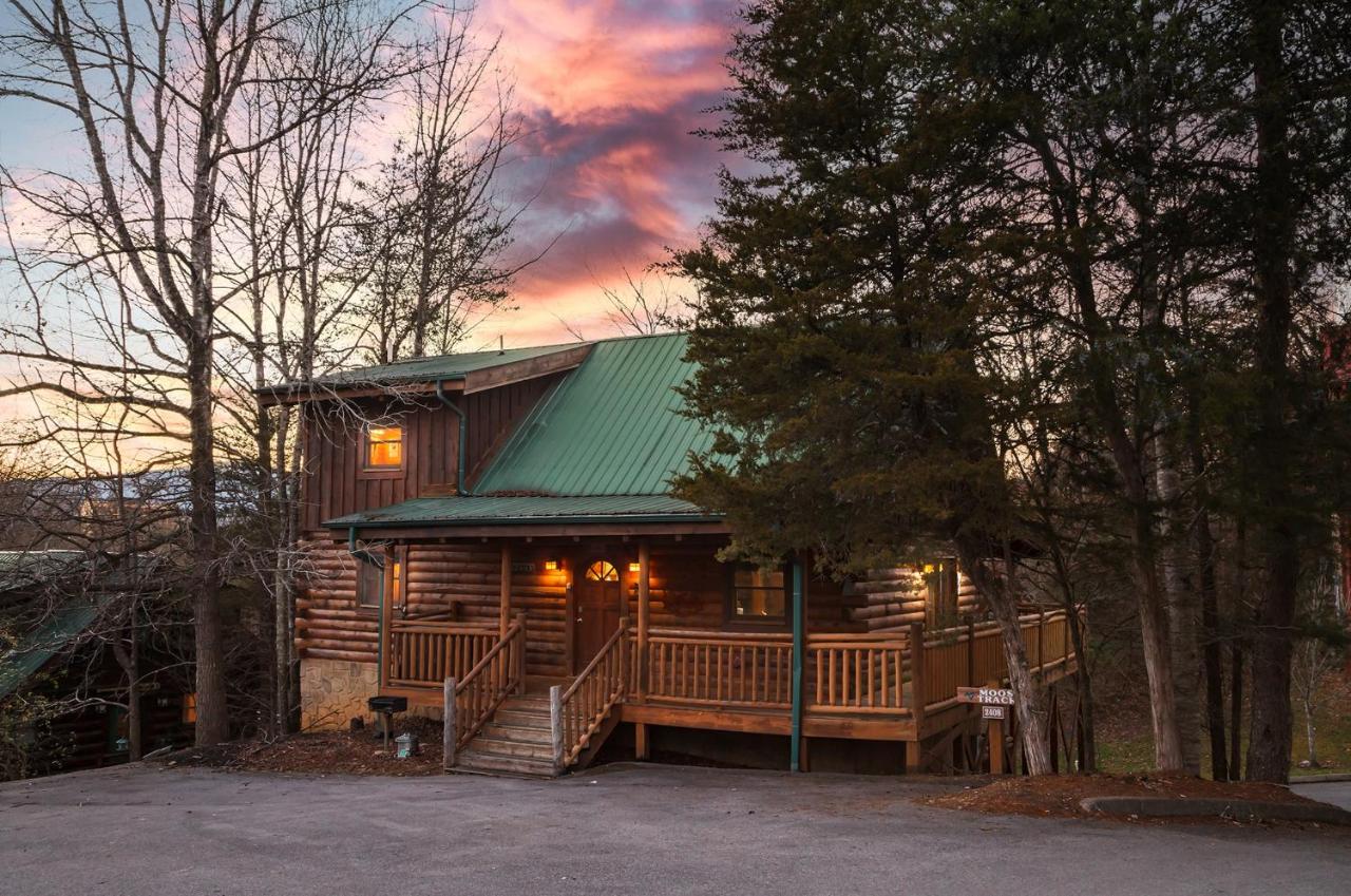 Moose Tracks cabin - B&B