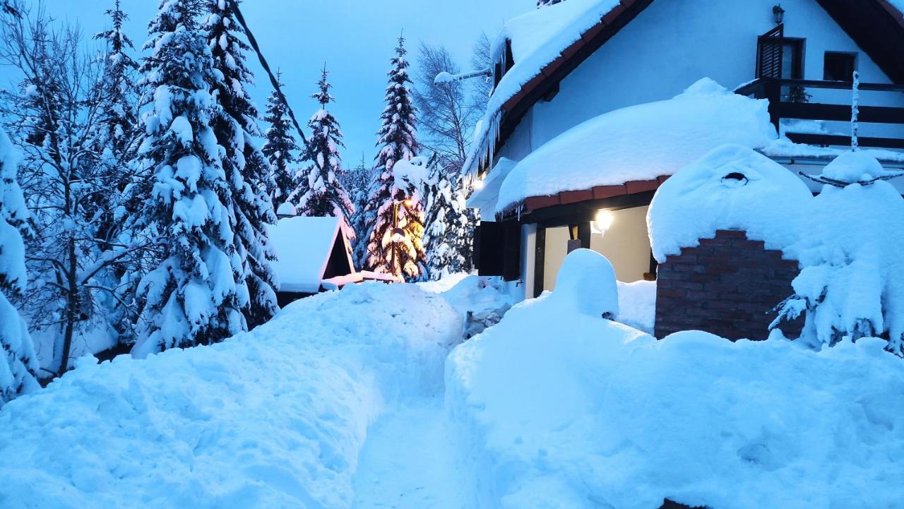 B&B Kopaonik - Uki & Sofi mountain house - Bed and Breakfast Kopaonik