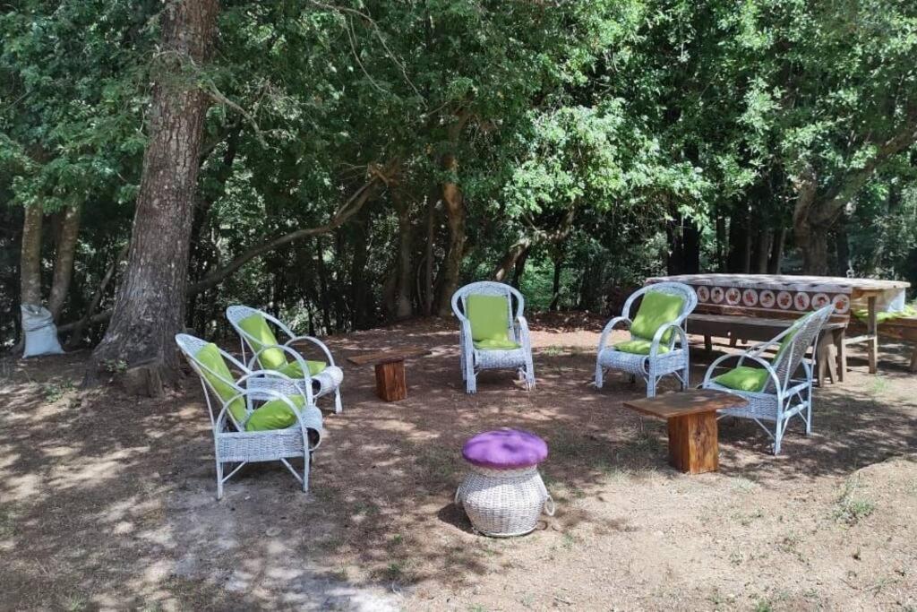 Cabaña Raíces del Quilme - B&B