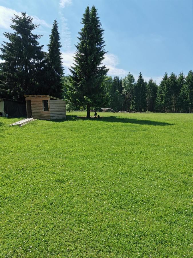 Pension Harzbaude Susanne - Garni - B&B Rübeland