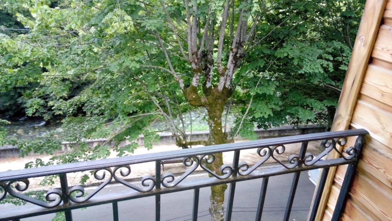 T2 Calme assuré face à la pique les Ramel - B&B