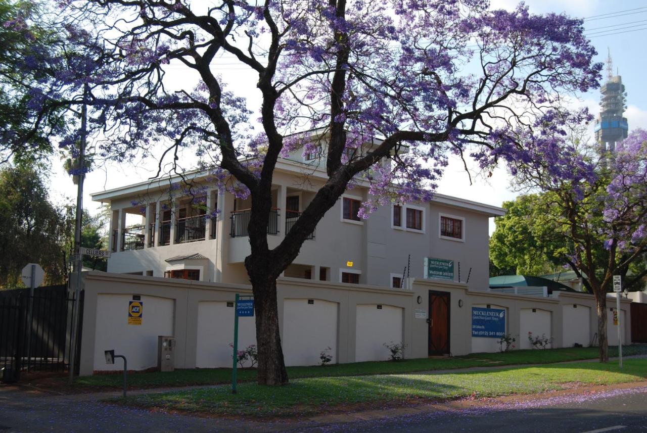 B&B Pretoria - Muckleneuk Guest House - Bed and Breakfast Pretoria