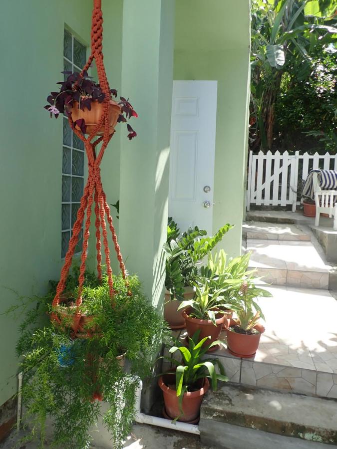 Urban Oasis Apartment - B&B Castries
