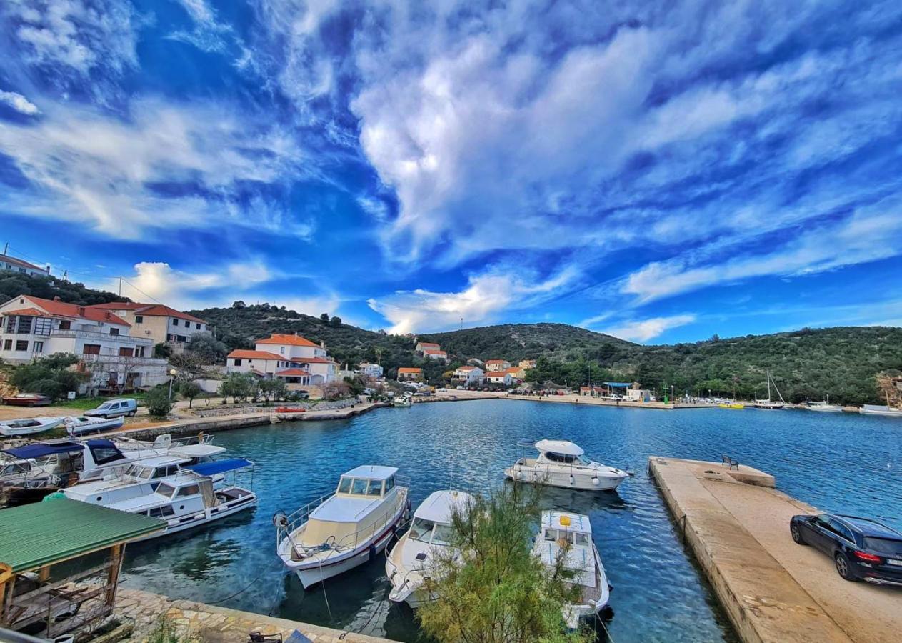 Apartment Zaglav 1 - first sea row - B&B