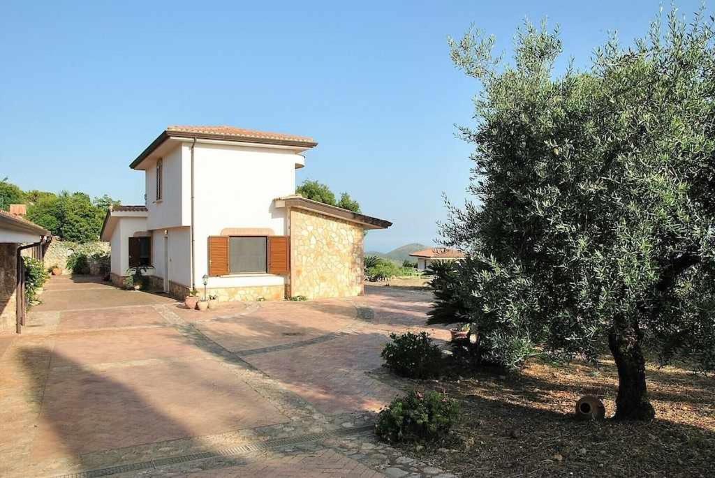 Uva & Stelle Maison in collina di Sperlonga - Bed and Breakfast Itri