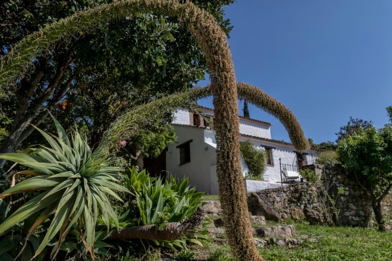 Ventorro del Herrero - The Old Forge - Ferienwohnung