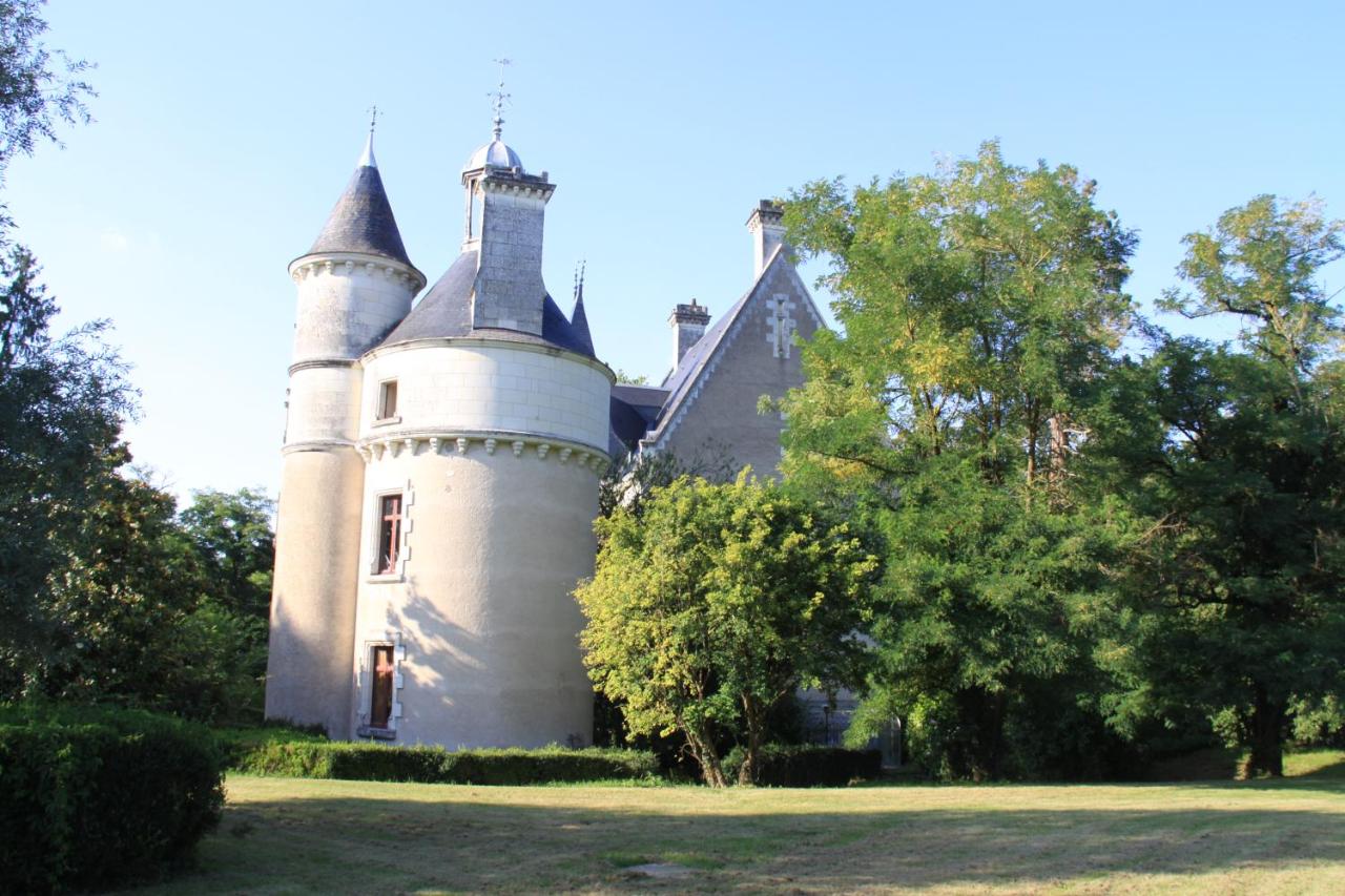 B&B Vicq-sur-Nahon - Chateau de Coubloust - Bed and Breakfast Vicq-sur-Nahon