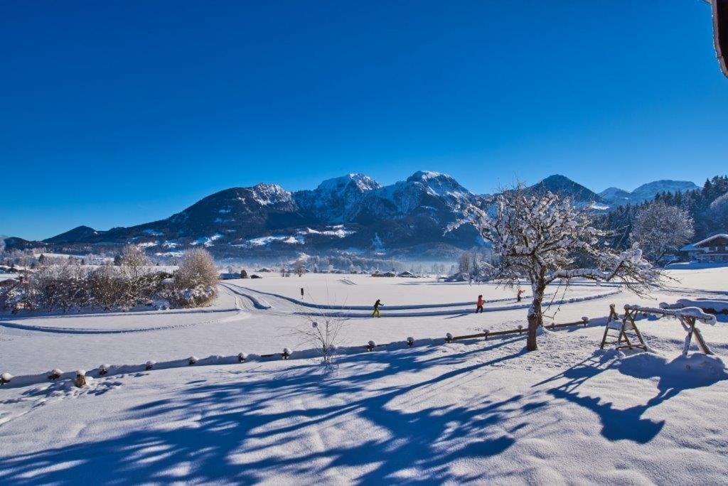 Appartement met 1 Slaapkamer