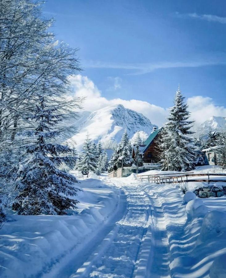 Mountain Star - B&B Zabljak