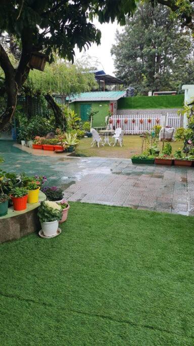 Olive Greens Homestay - B&B Dehradun