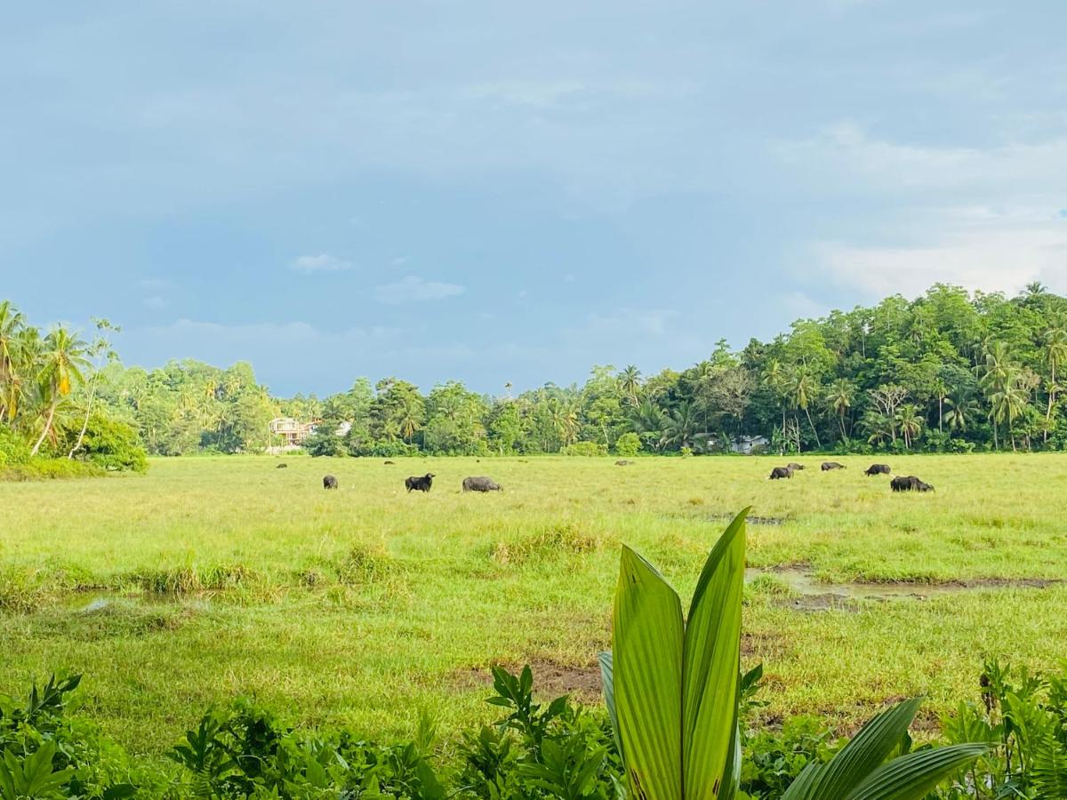 UMAAY ViLLAS - Chambres d’hôtes Hikkaduwa