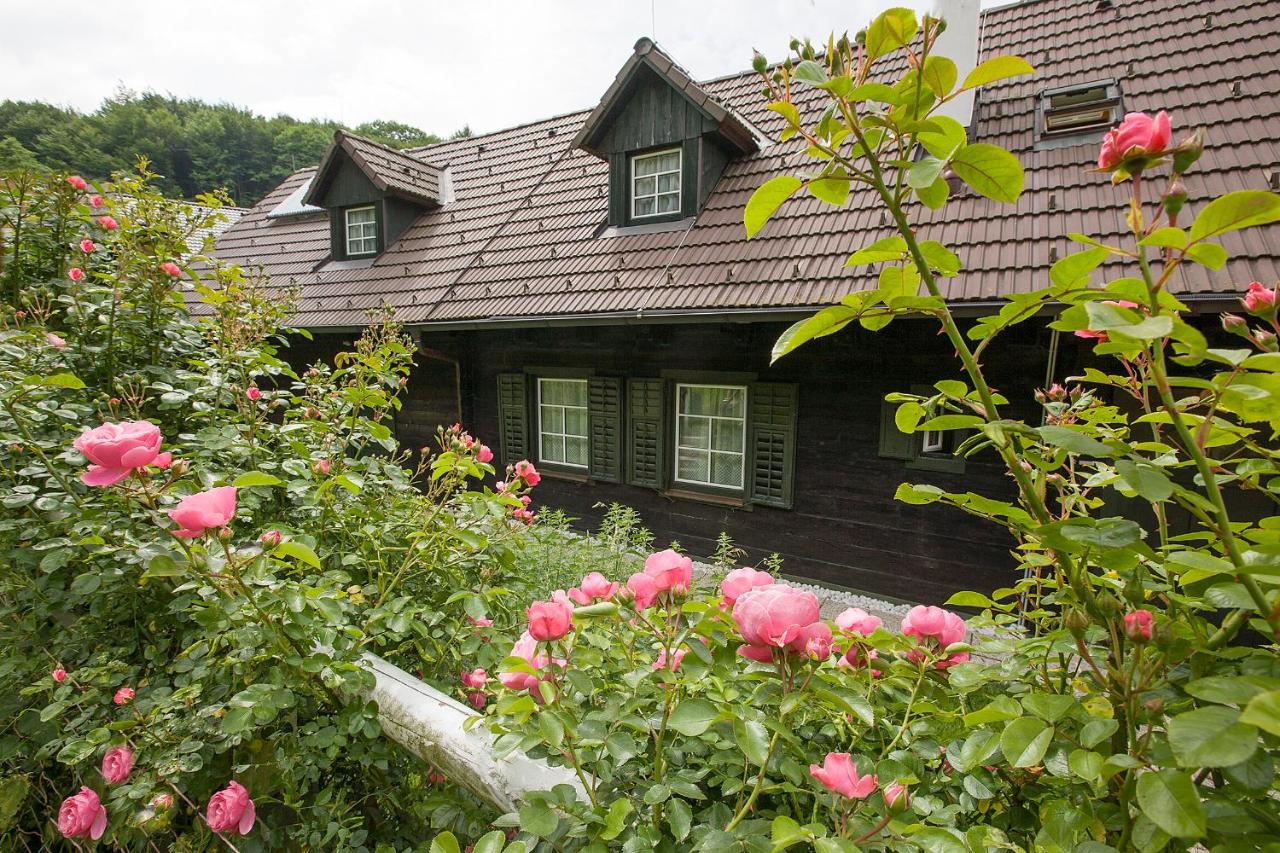 Das Altsteirische Landhaus - La Maison de Pronegg - Feriendomizil im Biosphärenpark Wienerwald - B&B Pressbaum