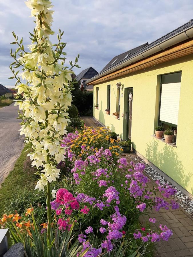 B&B Feldberg - Ferienwohnung Feldberger Seen - Bed and Breakfast Feldberg