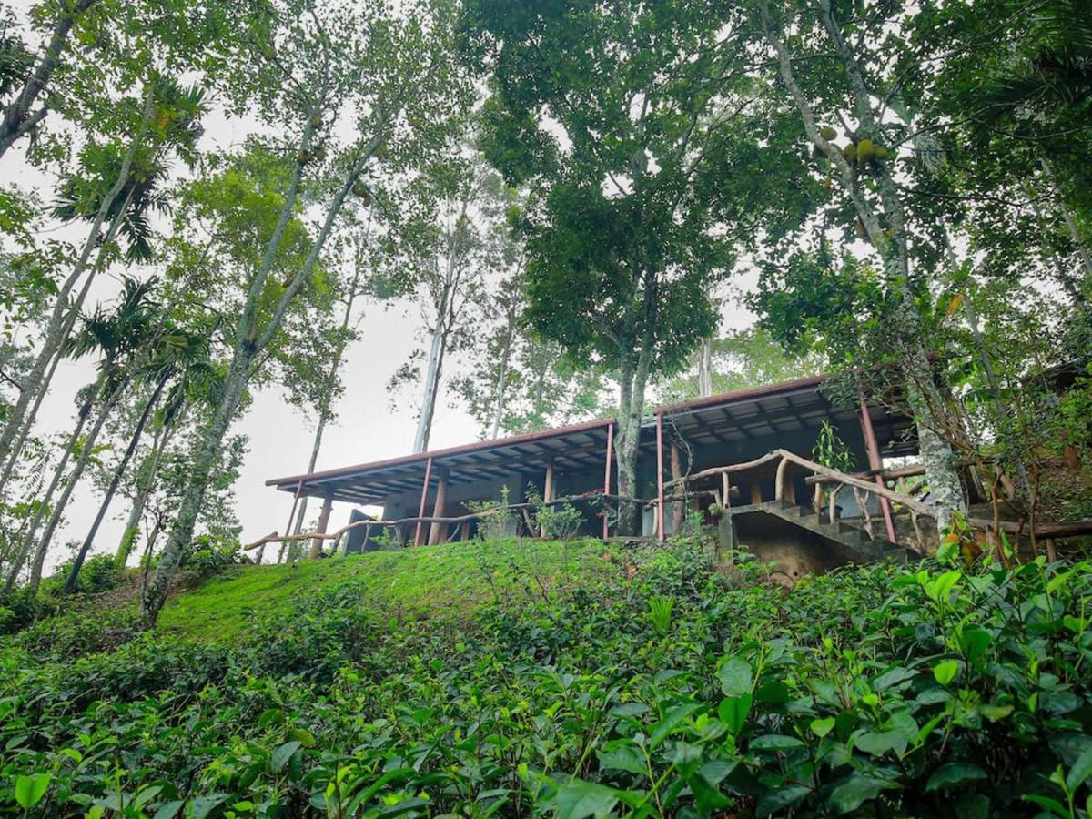 The Spice Lodge - Bed and Breakfast