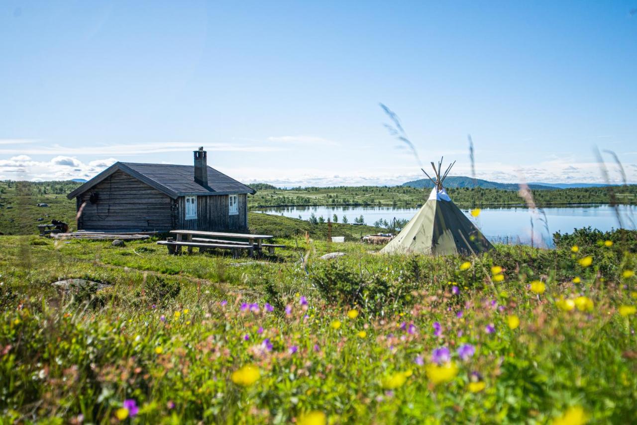 Olebu - B&B Skammestein