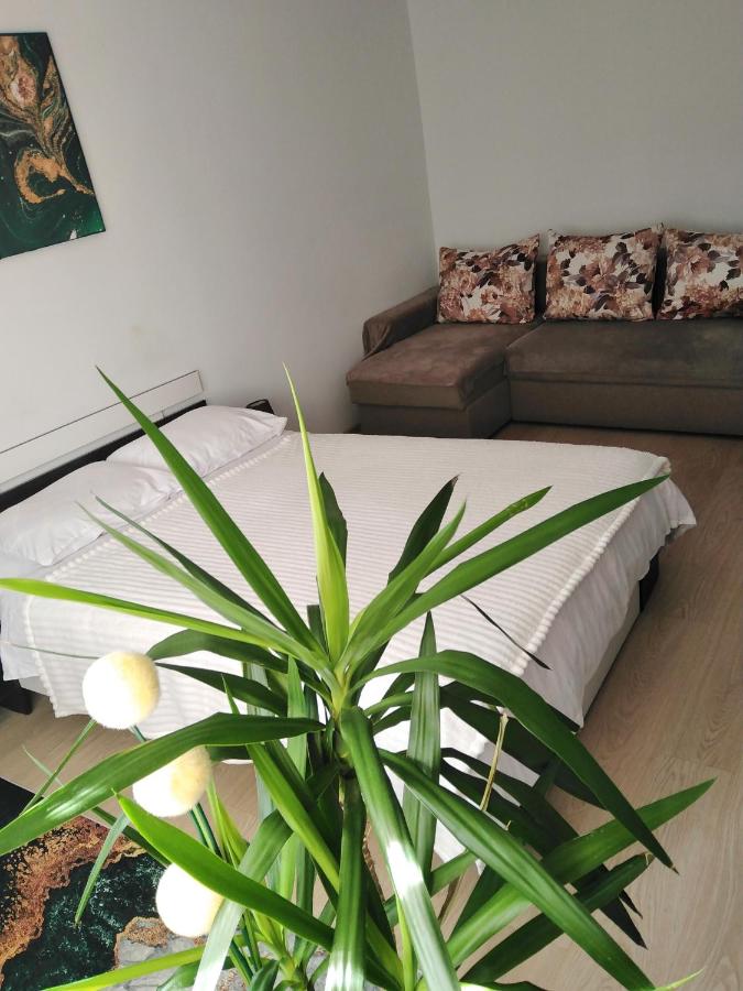 Garsoniera REBECCA - B&B Târgu Ocna