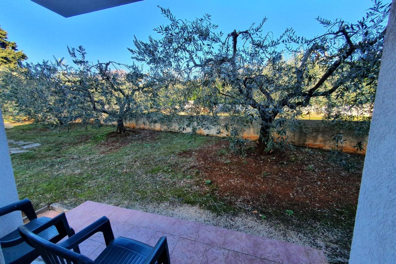 Appartement avec Terrasse