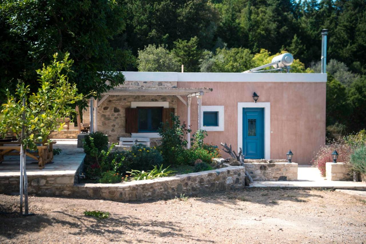 B&B Ágios Dimítrios - Chaihoutes stone House into Olive farm in Zia - Bed and Breakfast Ágios Dimítrios