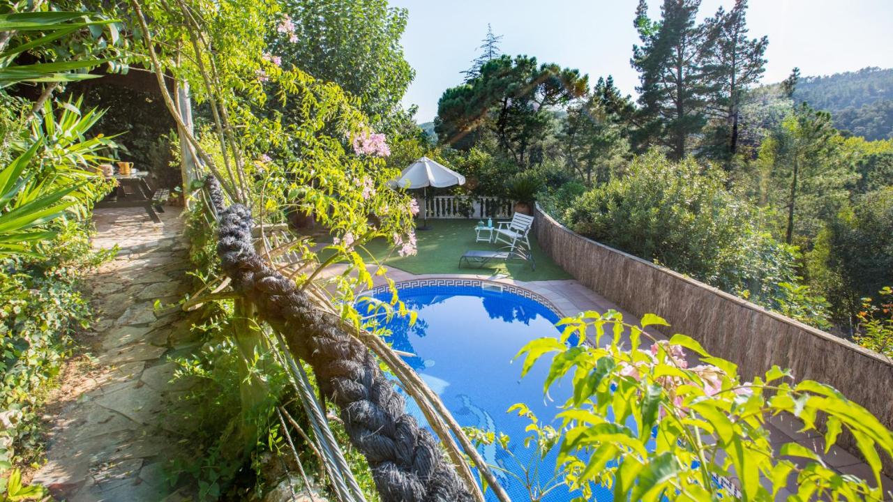 Dama - Bed and Breakfast Montbarbat