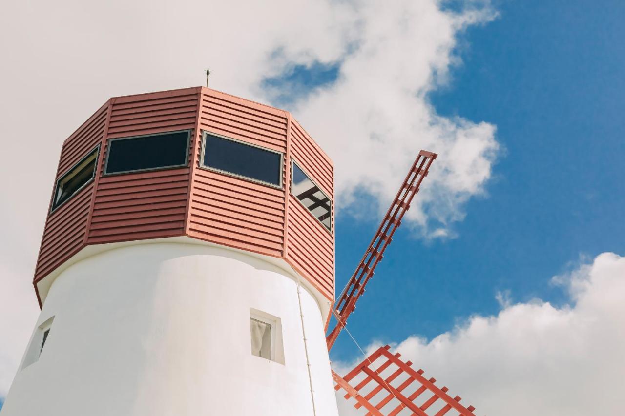 Wind Mill with Sea View