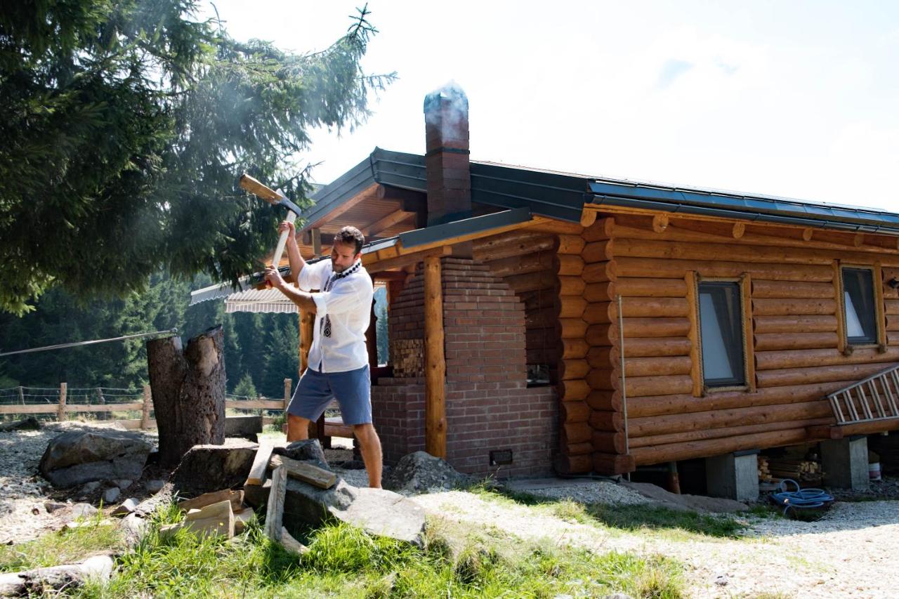 Cabana Paulownia - B&B Budeşti