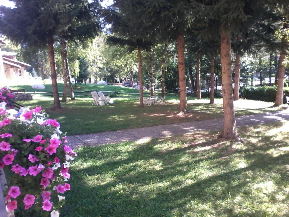 BUONAVACANZA IN MONTAGNA - B&B