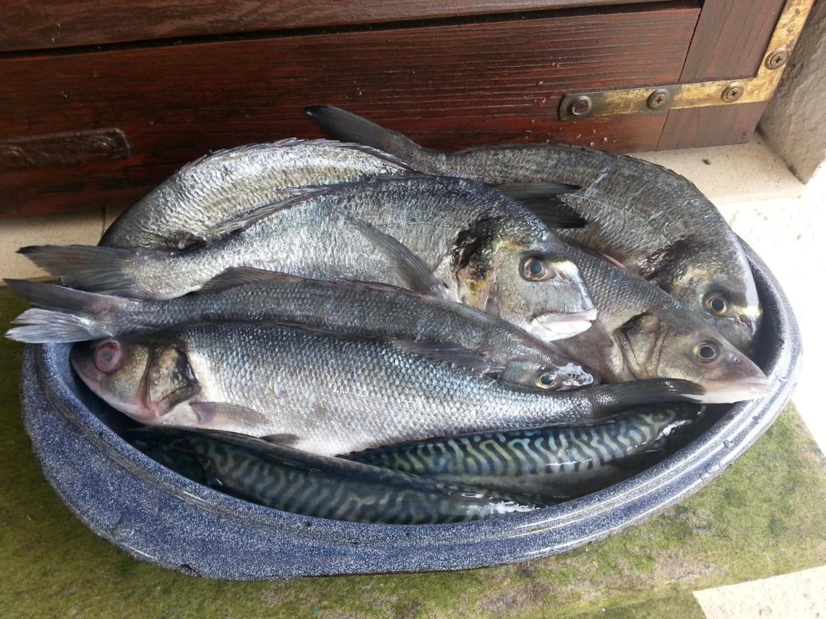 Apartment Sun - B&B Vir