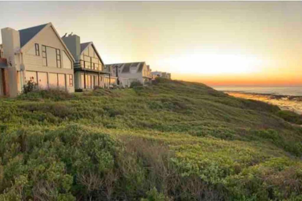 Baby Whale Bliss - Beachfront House - B&B