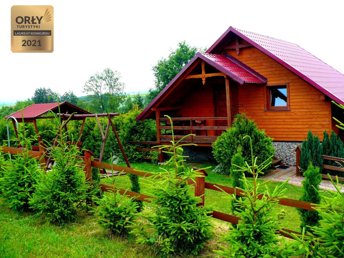 Agroturystyka ZIELONA ZAGRODA w Kosztowej - B&B