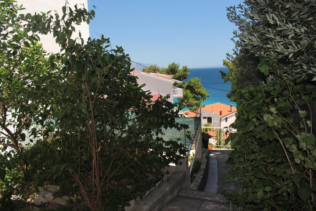 Apartment - Erdgeschoss