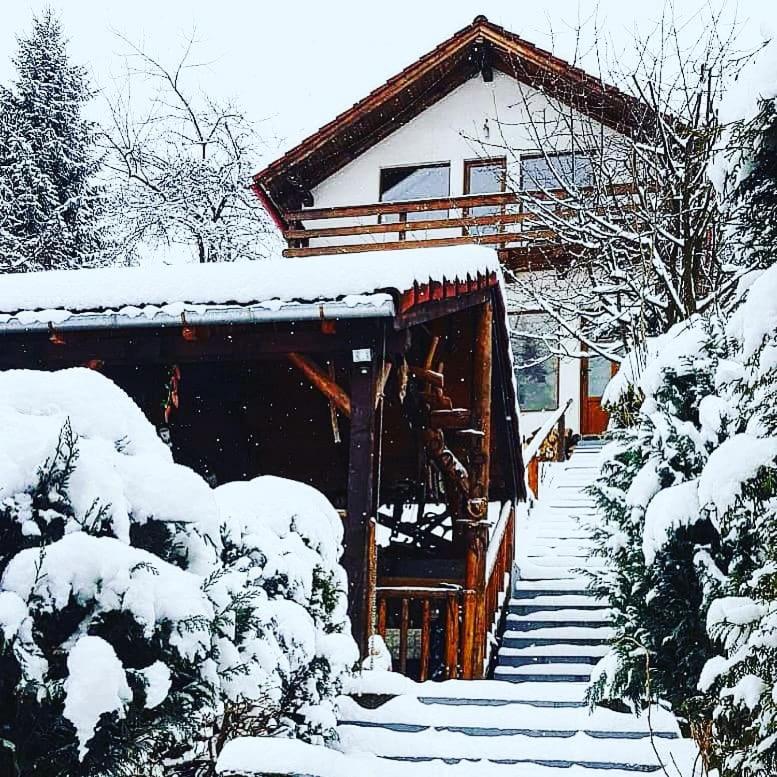 Cabana Vânătorilor - B&B
