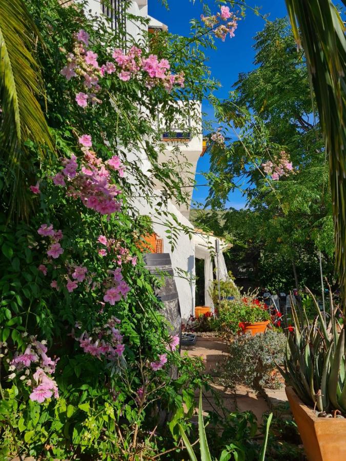 Cortijo La Haza - Ferienwohnung Iznájar