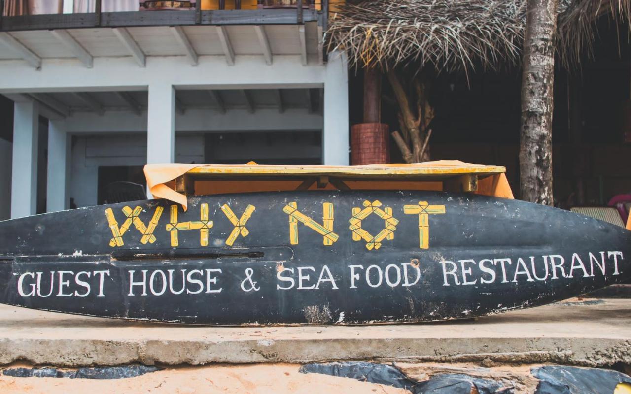 Why Not Guest house - B&B