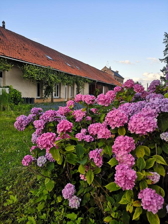 Eco-Gîte de L'Etang Présent - Bed and Breakfast