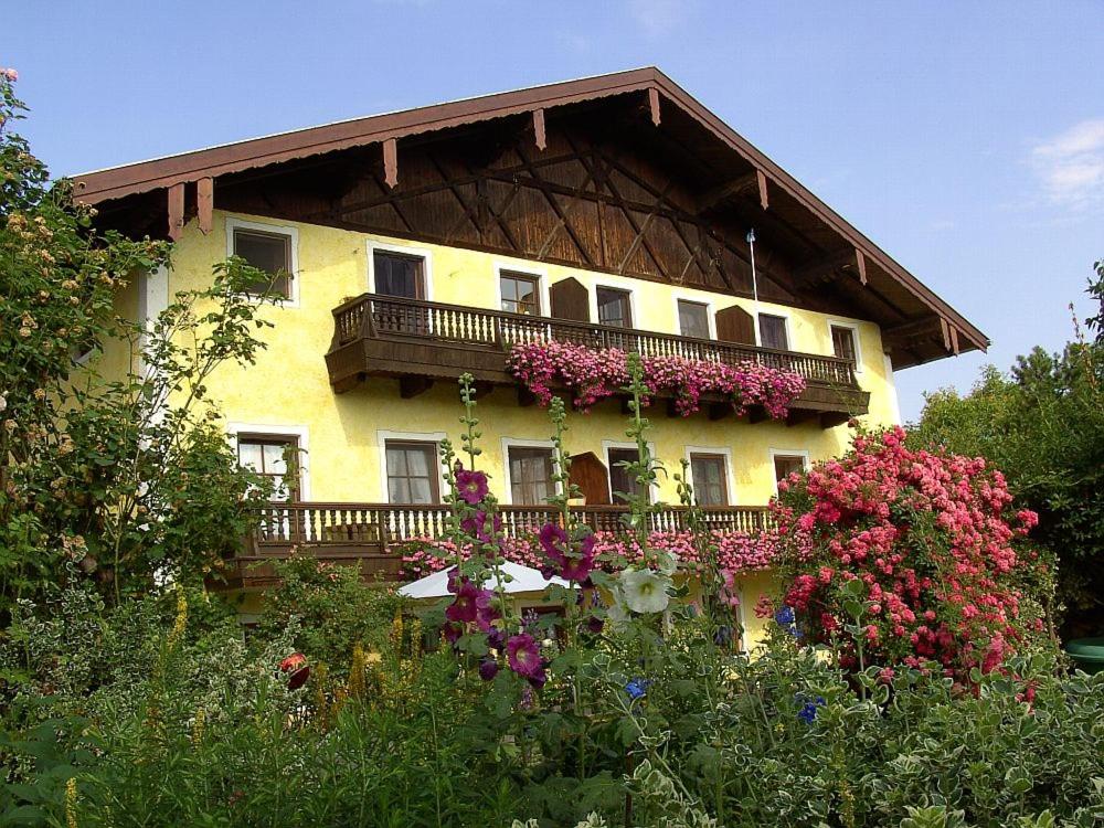 Köllhof - Ferienwohnung