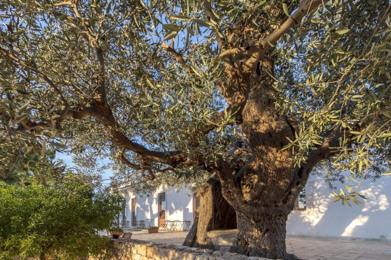 Masseria Fanizzi - B&B Conversano