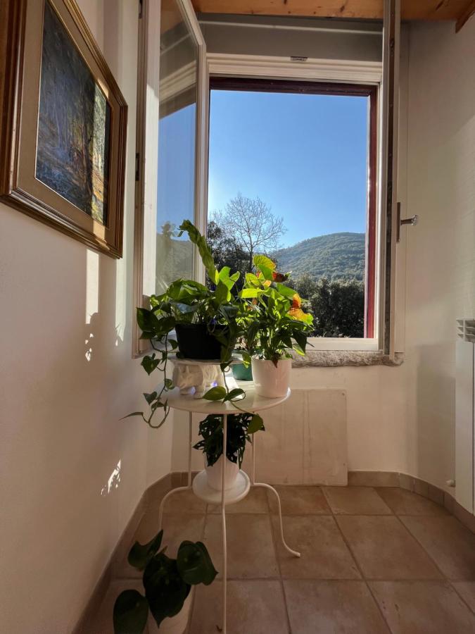Habitación Doble Económica