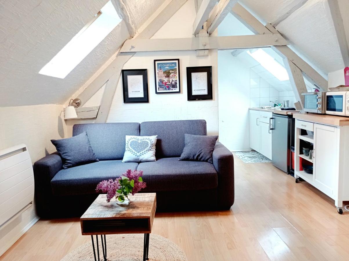 Le Cocon proche Maisons de Champagne - B&B Ay