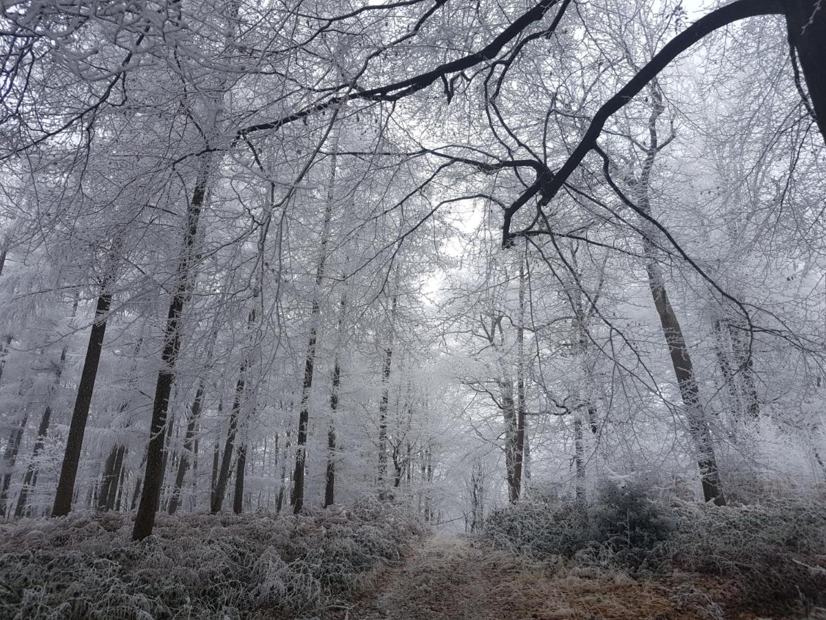 Casa con 5 Camere da Letto