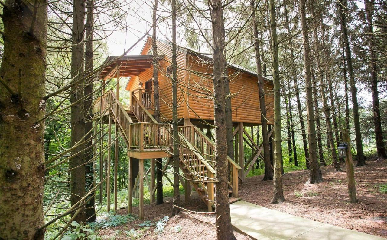 B&B Millersburg - Whispering Pines Treehouse by Amish Country Lodging - Bed and Breakfast Millersburg