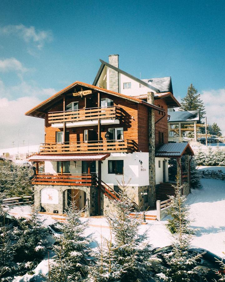 Vila Stefana Paltinis - B&B