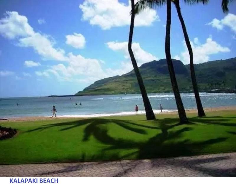 B&B Lihue - Banyan Harbor - Bed and Breakfast Lihue