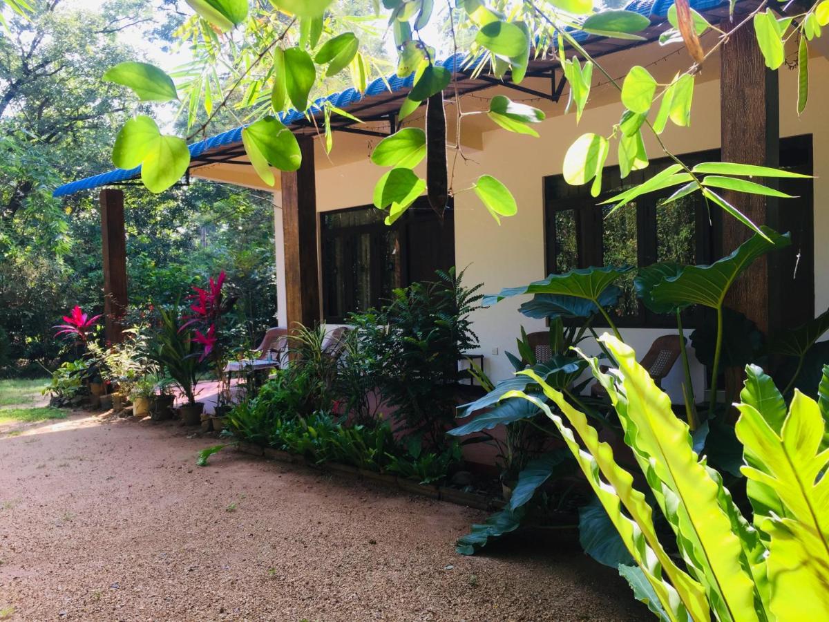 Gimansa Rest Sigiriya - Bed and Breakfast Sigiriya