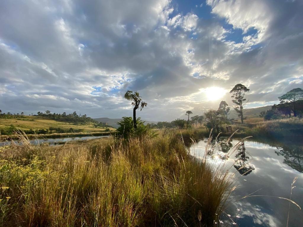 B&B Waterval Boven - Tegwaan Country Getaway - Bed and Breakfast Waterval Boven