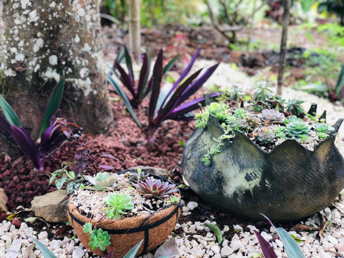 Montaña de Paz - B&B San Ramón Sur