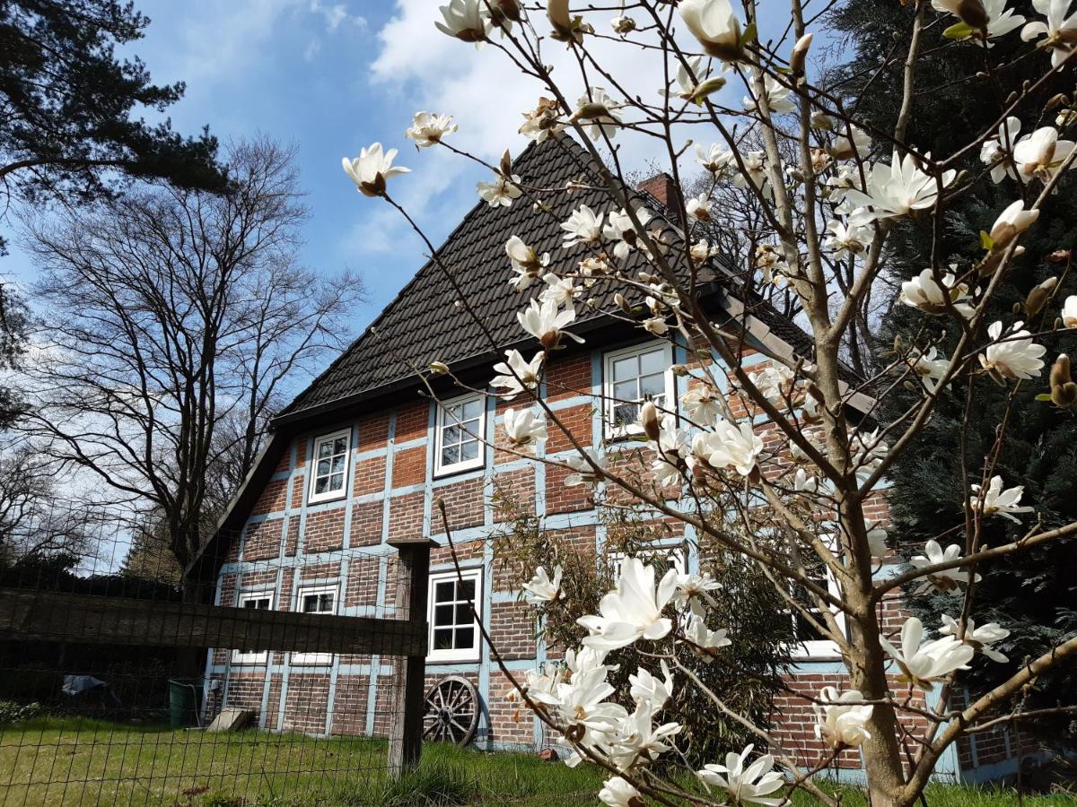 Schönes Apartment vor den Toren Hamburgs - keine Monteurwohnung - Chambres d’hôtes